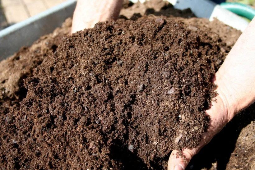 Cessione gratuita del compost di qualità – Promemoria giacenze e aggiornamento nuova produzione