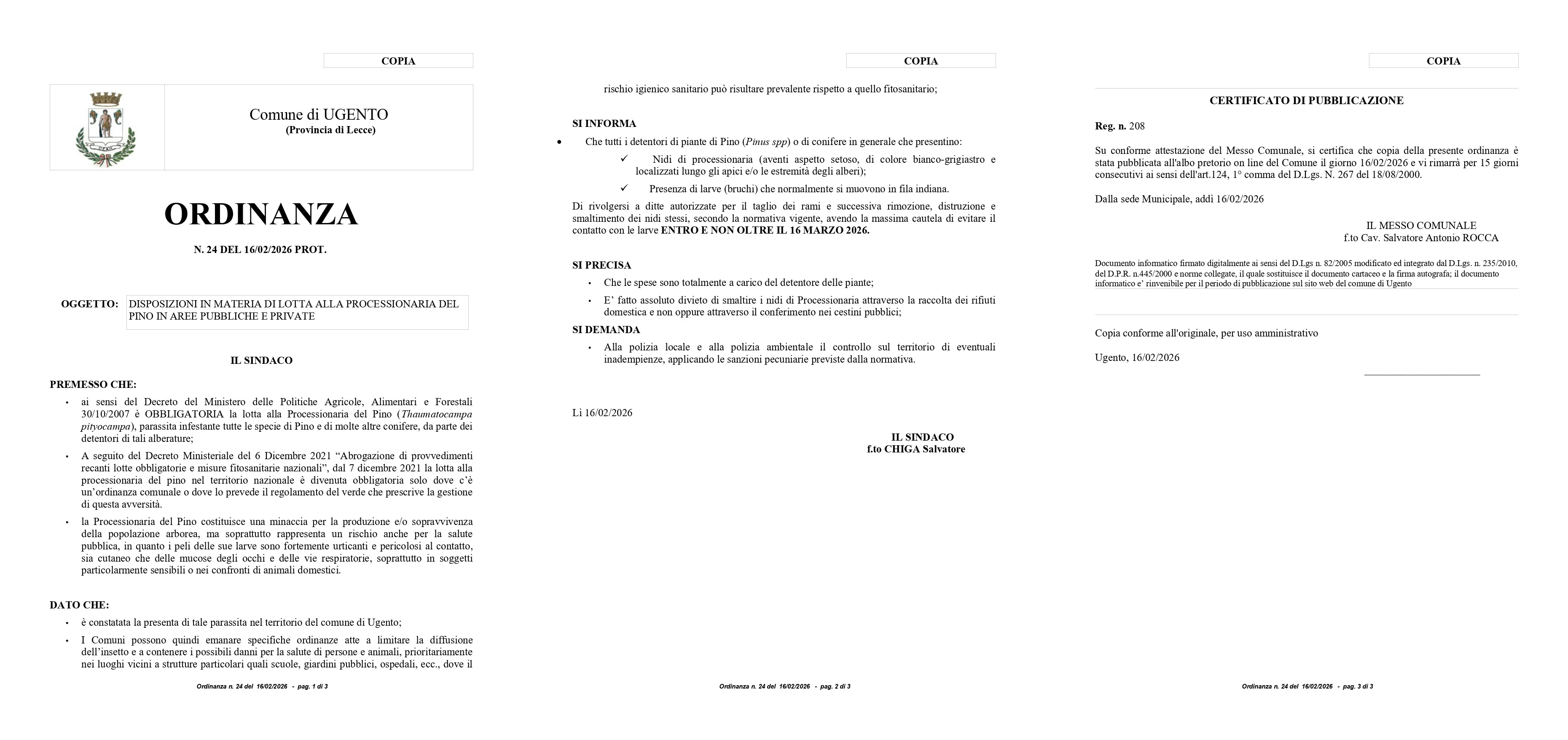 Disposizioni in materia di lotta alla processionaria del pino in aree pubbliche e private