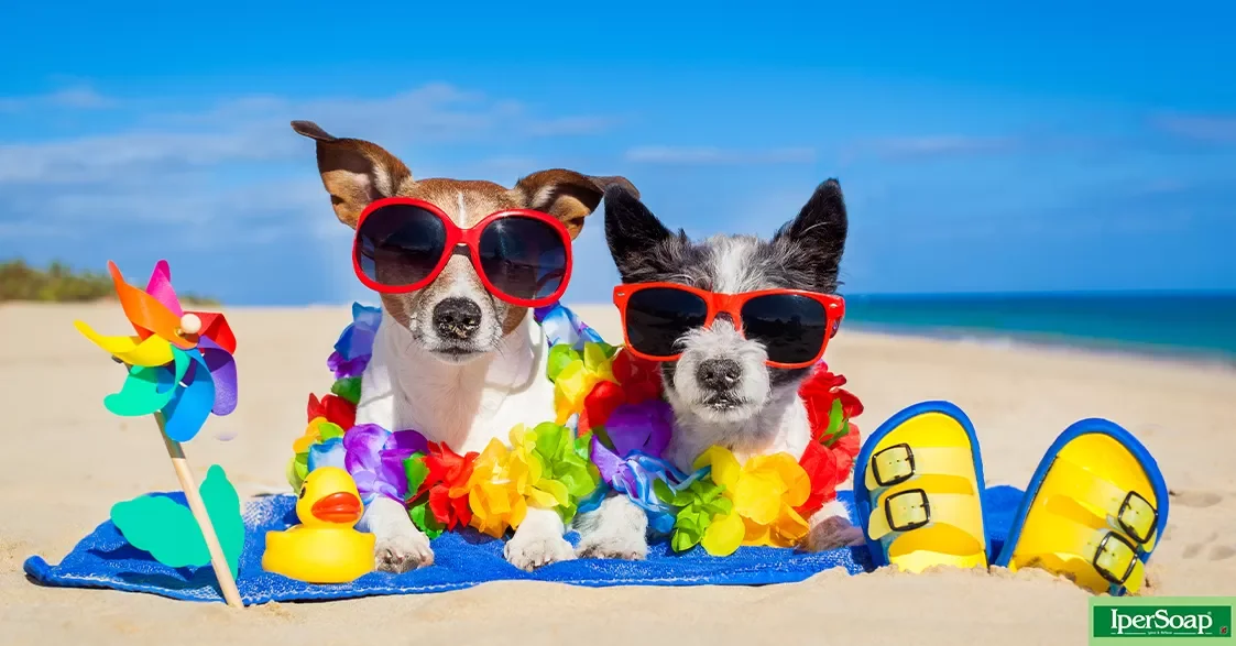 Individuazione tratti di spiaggia libera in cui e’ consentito l’accesso alle spiagge da parte degli animali da affezione, ai sensi della L.R. n.56 del 17 dicembre 2018