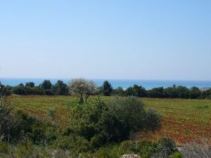 Parco Regionale Litorale di Ugento