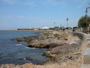 Torre San Giovanni 8