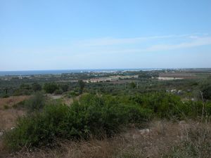 Vista Torre San Giovanni dal casale 1