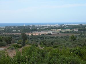 Vista Torre San Giovanni dal casale 2