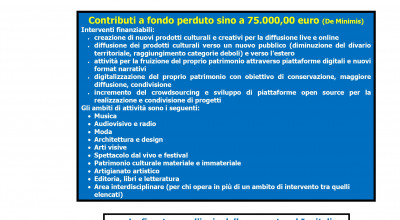 Contributi a fondo perduto per micro imprese