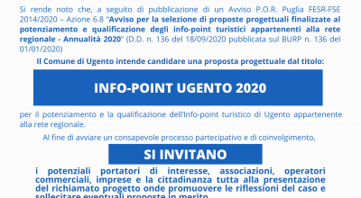 AVVISO PUBBLICO - PRESENTAZIONE DELLA PROPOSTA PROGETTUALE  INFO-POINT ...