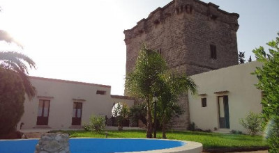 Torre Mammalia