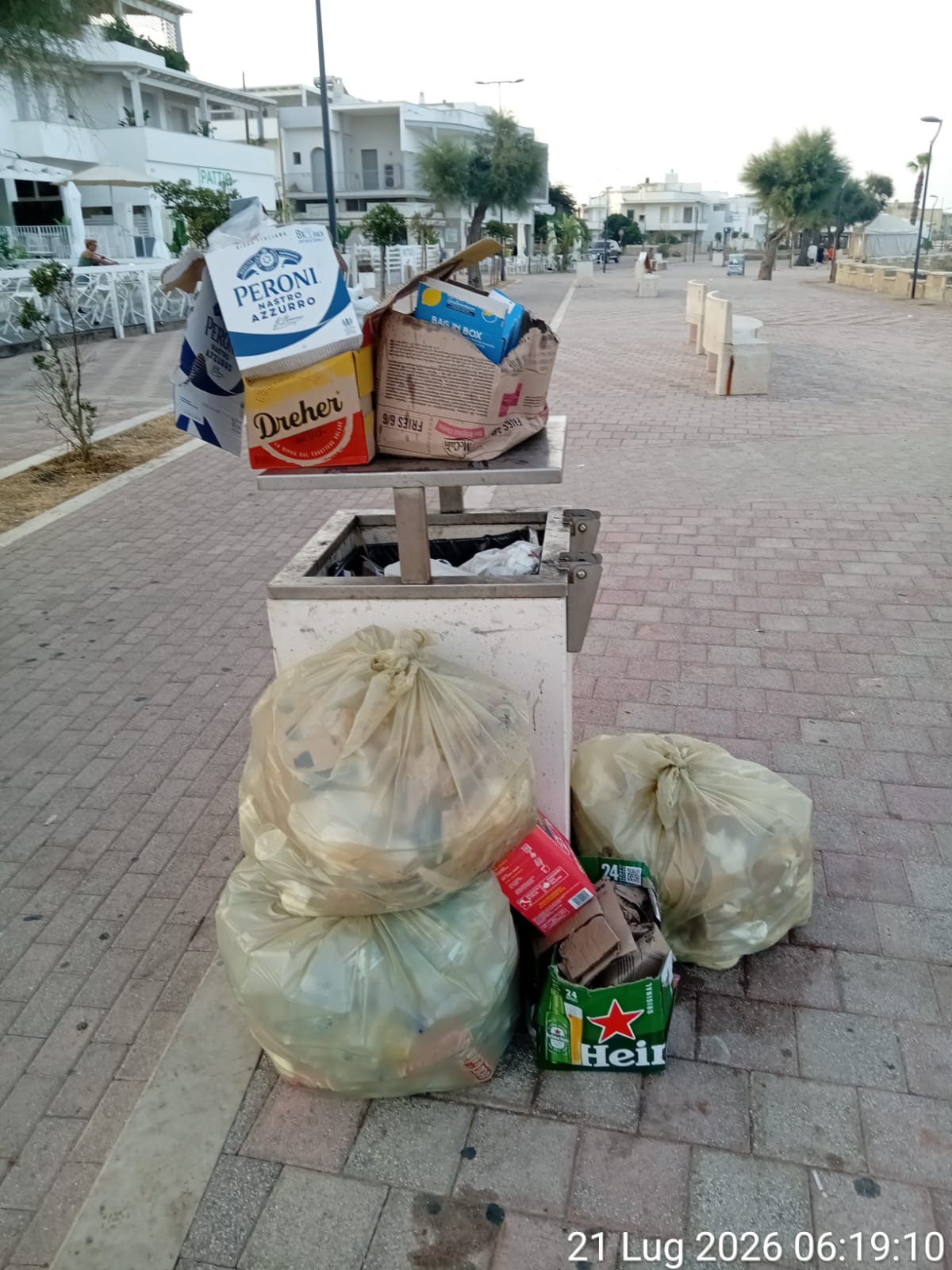 Abbandono illecito di rifiuti sul lungomare