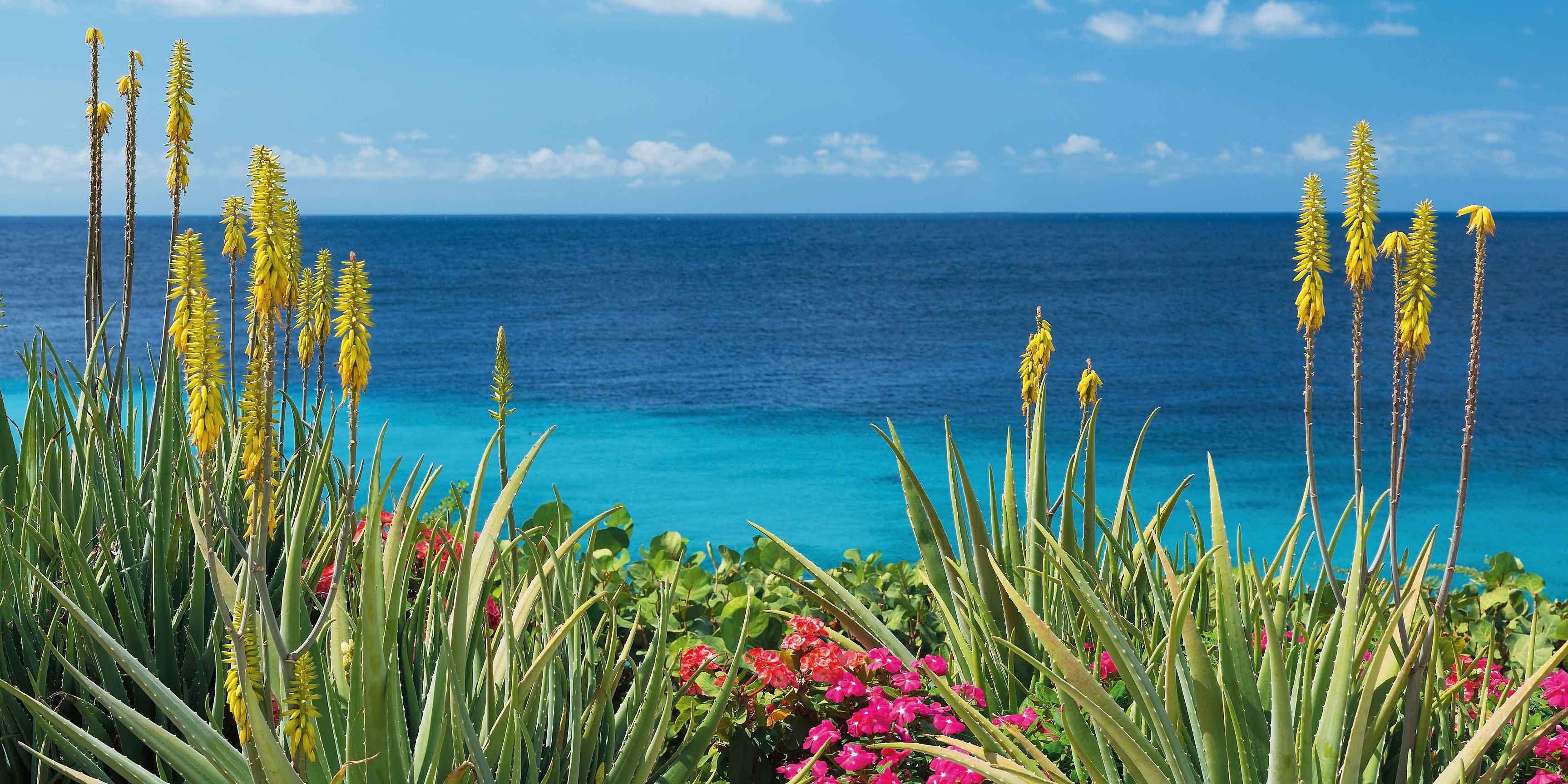 AVVISO PUBBLICO PER IL RILASCIO DI CONCESSIONI DI AREE DEMANIALI MARITTIME AD USO RESIDENZIALE E ABITATIVO